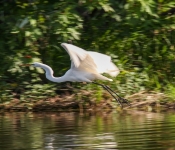 2016 06 11 WildLife MPLS 180